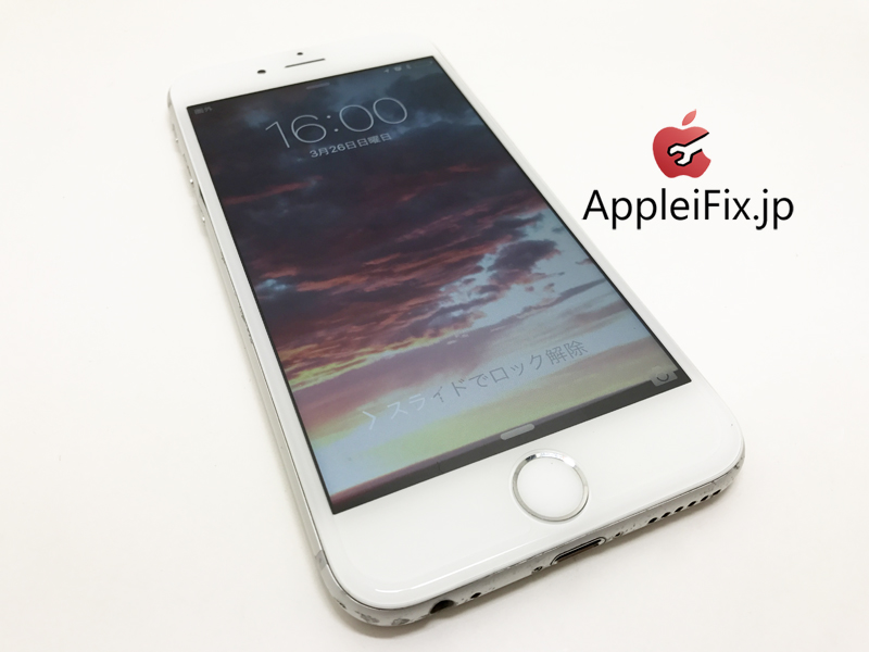 iPhone6 repair Front Panel1.jpg