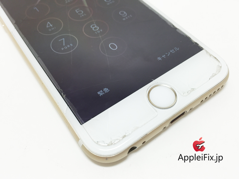 iPhone6 repair_4.jpg