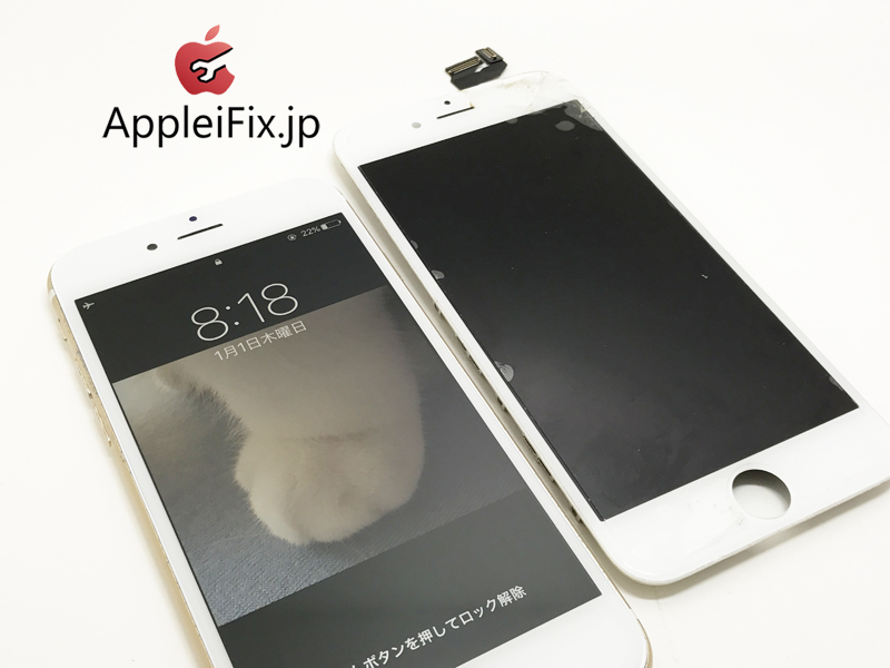 iPhone6S Fix Front panel3.jpg
