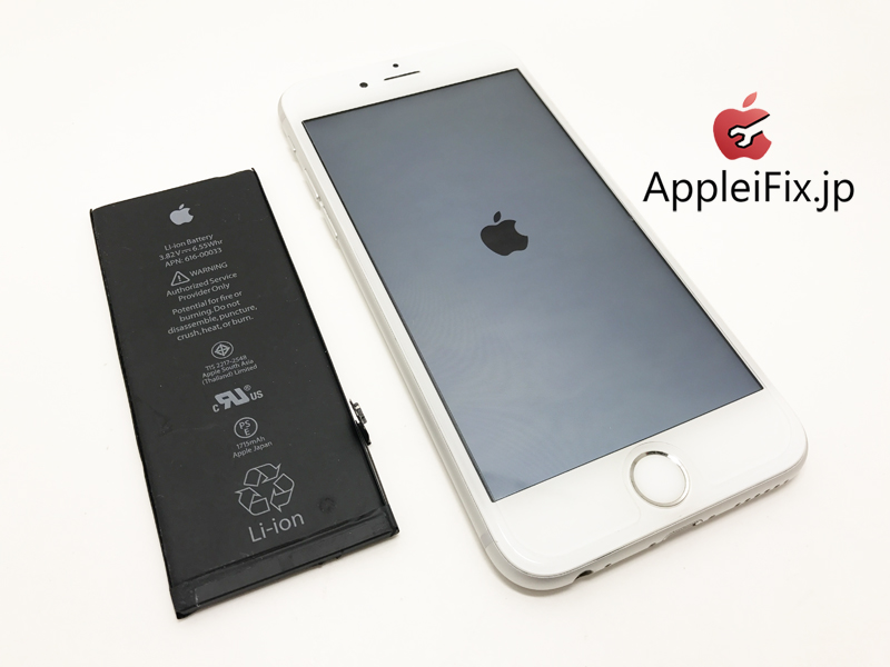 iPhone6S AppleiFix5.jpg
