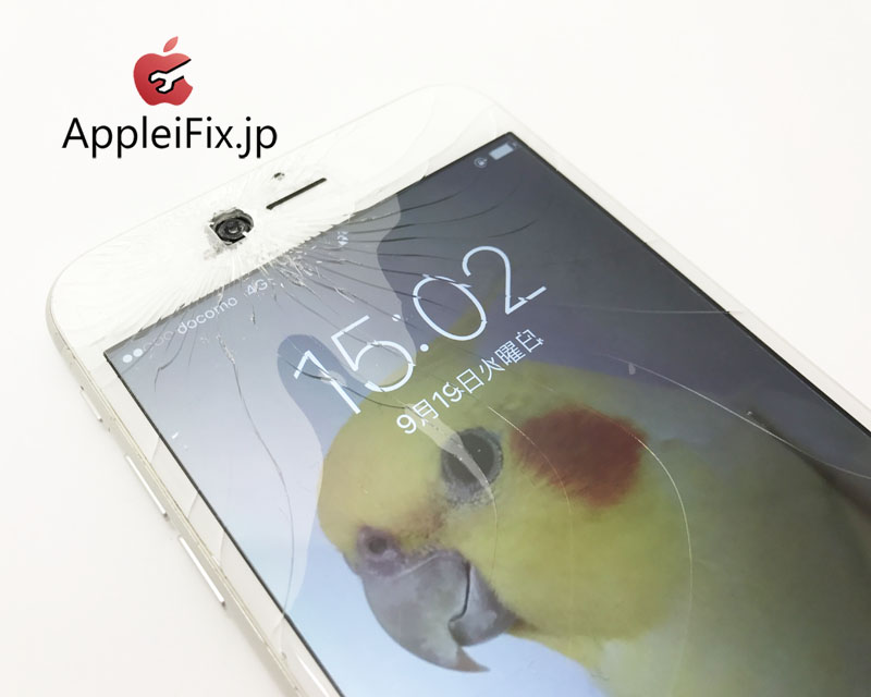 iPhone6Plus ガラス+液晶交換修理.JPG