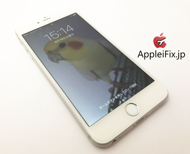 iPhone6Plus ガラス+液晶交換修理2.jpg