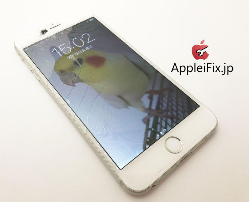 iPhone6Plus ガラス+液晶交換修理1.jpg