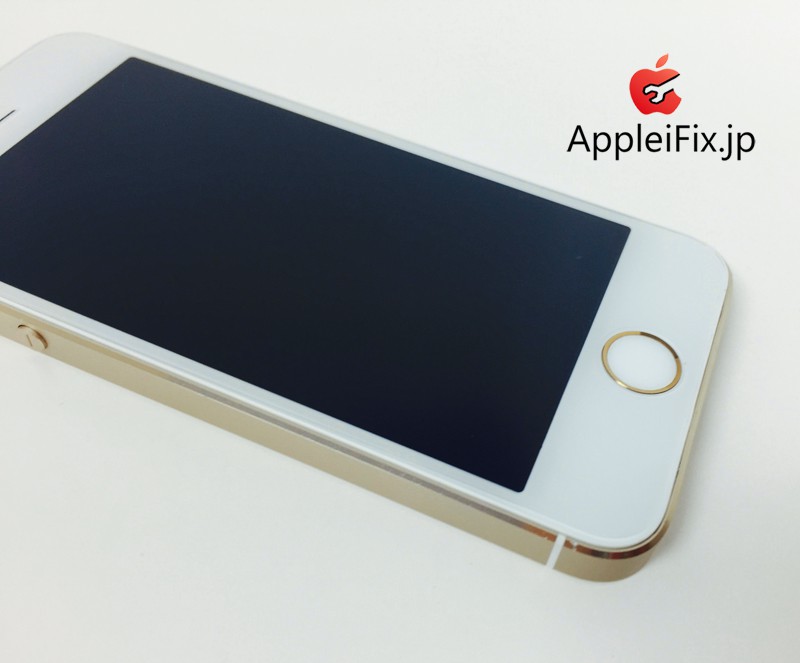 iphone5s appleifix02.jpg