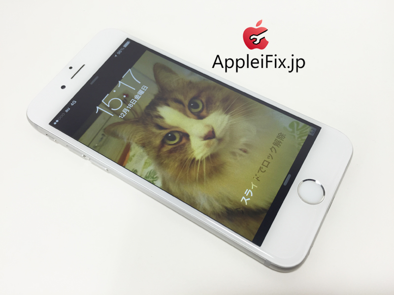 iphone修理猫1.jpg