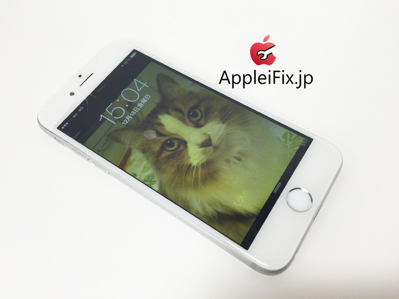 iphone修理猫4.jpg