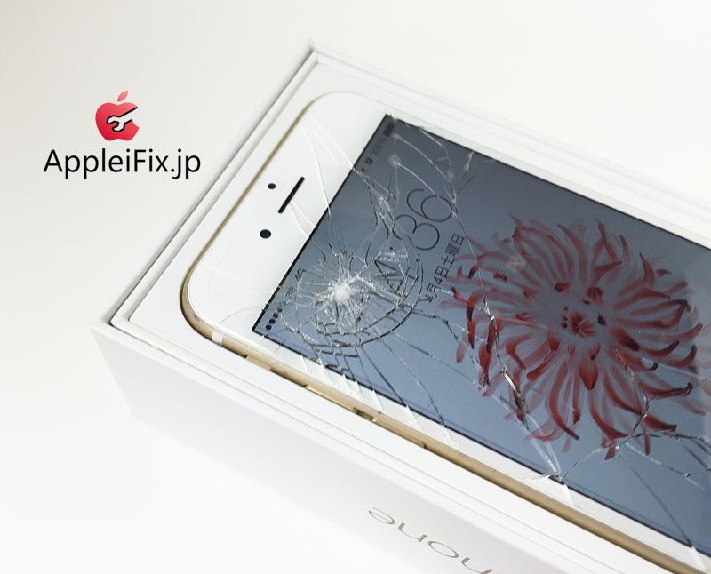 iphone6 AppleiFix09.JPG
