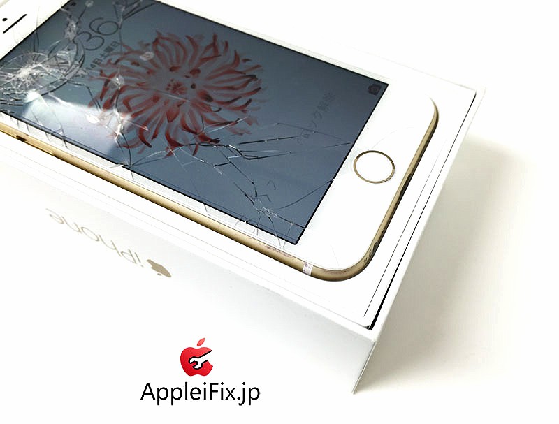 iphone6 AppleiFix04.jpg