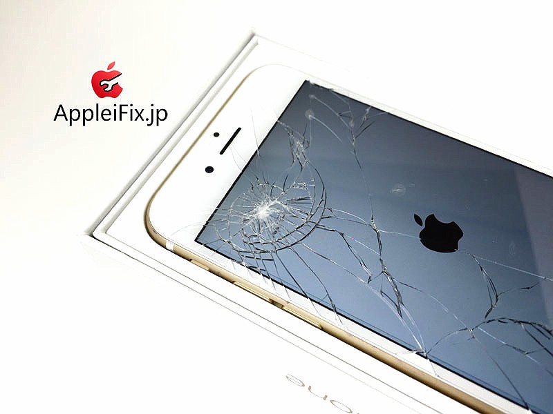 iphone6 AppleiFix08.JPG
