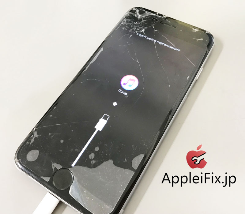 Iphone ガラス 液晶 画面割れの専門修理センターappleifix Jp Iphone6s リンゴマックループ 起動できない エラー 9 4005 4013 4014の問題 データ復元 復旧修理 新宿appleifix修理センター