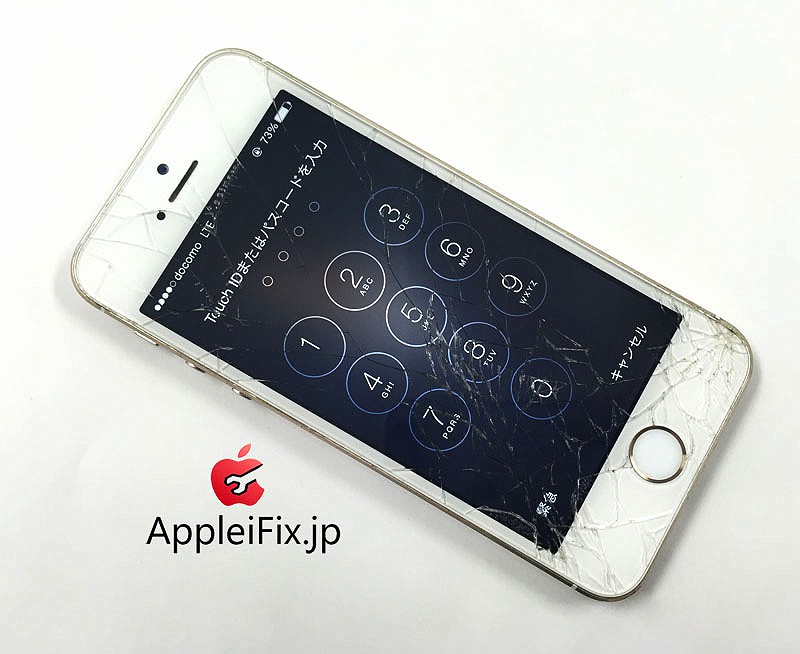 AppleiFix_iPhone5s修理6.jpg