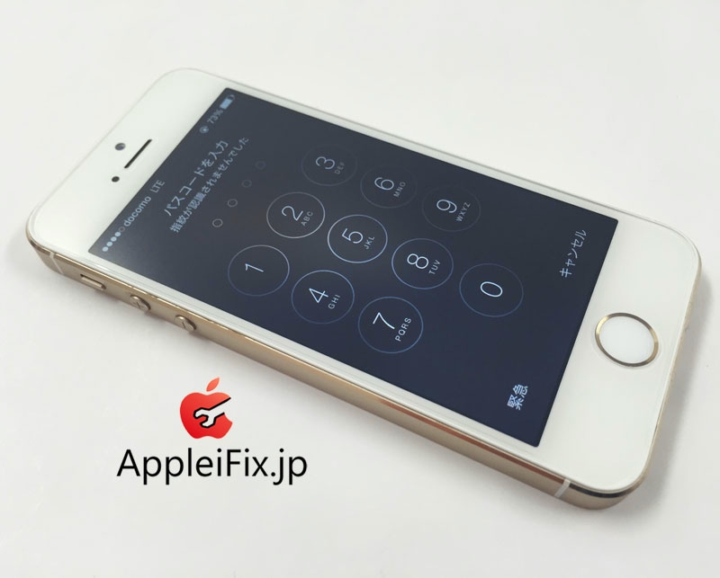 AppleiFix_iPhone5s修理1.JPG