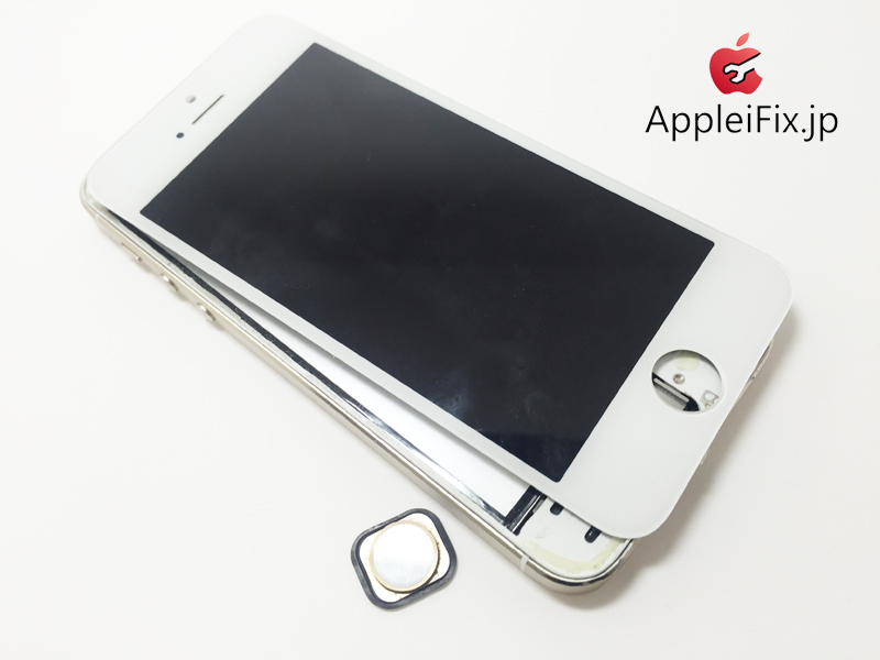 iPhone5S gold repair_1.jpg