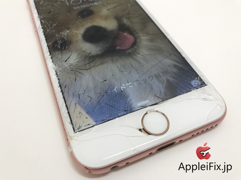 iPhone6S repair LCD panel1.jpg