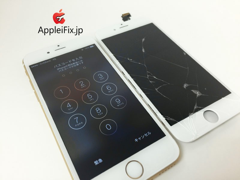 iphone6 appleifix01.JPG