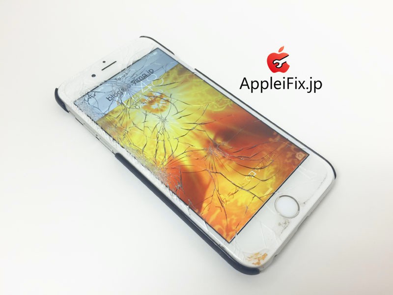 iPhone6 appleifix04.jpg