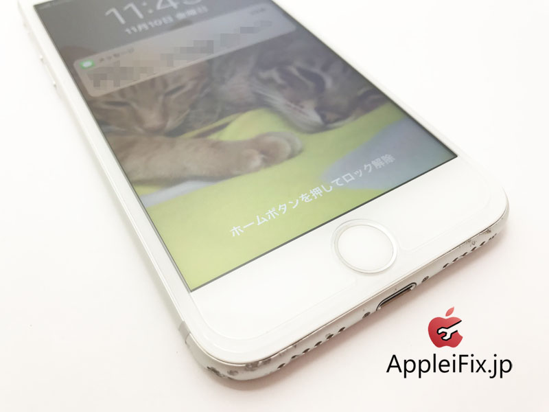 iPhone7 シルバー画面修理4.JPG