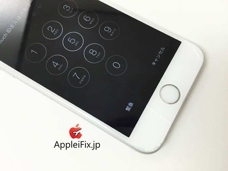 iphone6 白→黒　プチカスタマ　Apple iFix04.jpg