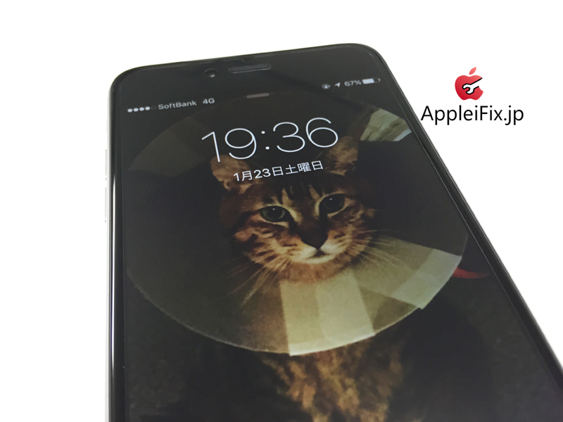 iphone6 猫画面修理1..jpg